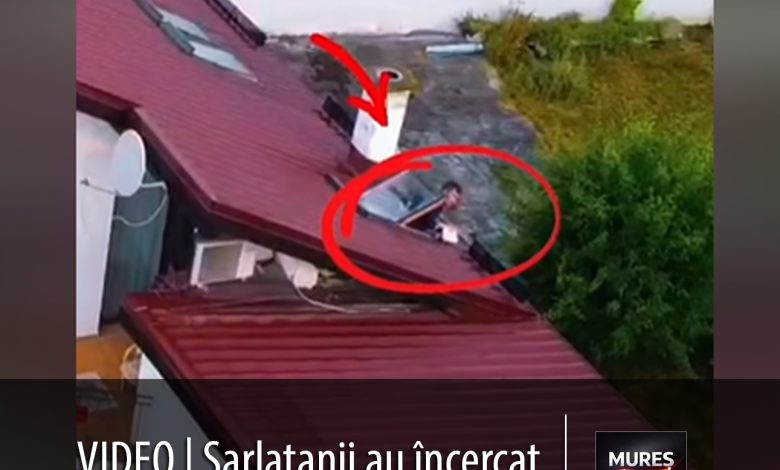 video-|-operatiune-de-amploare-a-politiei-romane:-suspecti-de-frauda-imobiliara-retinuti-dupa-ce-au-incercat-sa-„scape”-de-dovezi-pe-fereastra!