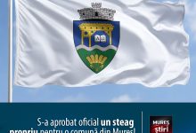 identitate-consfintita:-guvernul-romaniei-a-aprobat-oficial-un-steag-propriu-pentru-comuna-panet!