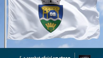 identitate-consfintita:-guvernul-romaniei-a-aprobat-oficial-un-steag-propriu-pentru-comuna-panet!