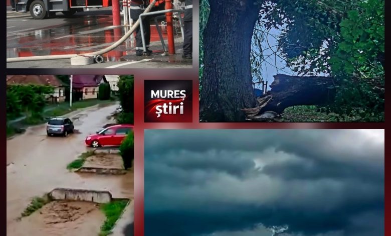 furtuna-targu-mures:-copaci-smulsi-din-radacini,-acoperisuri-avariate-si-locuinte-inundate!