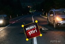 alerta-trafic:-cerb-lovit-pe-sosea,-inainte-de-danes!-pericol-de-accidente