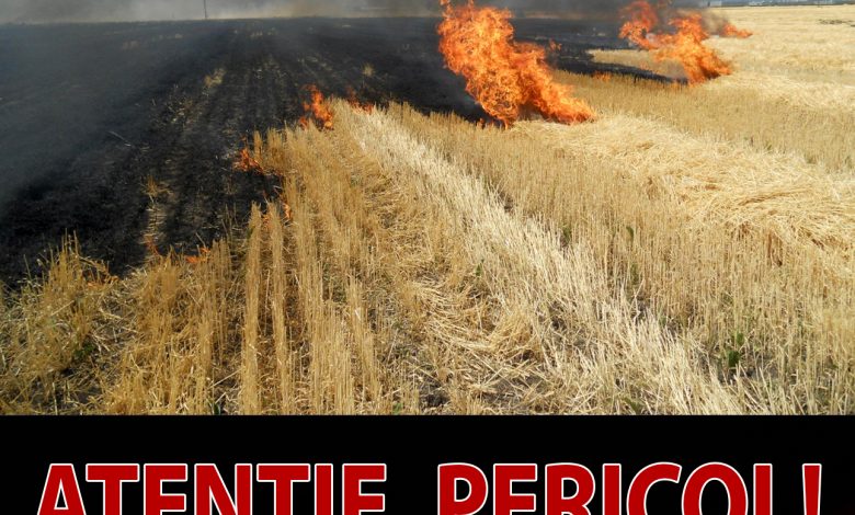 avertisment-apia:-arderile-de-vegetatie-uscata-si-miristi,-strict-interzise!-fermierii-risca-pierderea-subventiilor