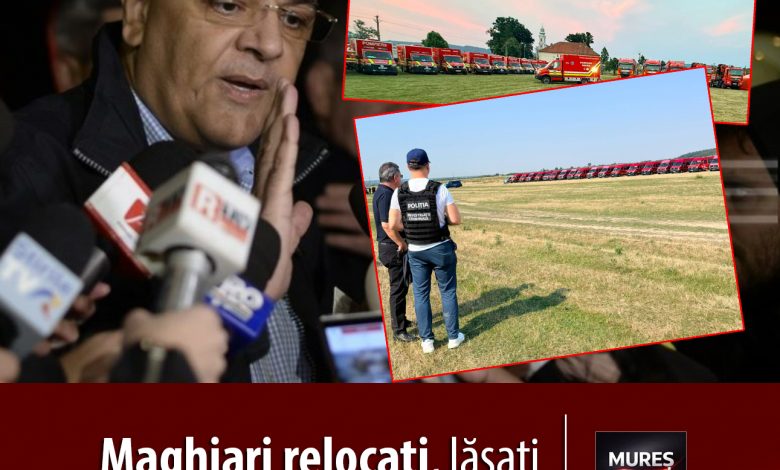 transferuri-cu-„google-translate”:-maghiari-relocati,-lasati-fara-documente-si-intr-o-comunicare-imposibila-cu-noile-centre!