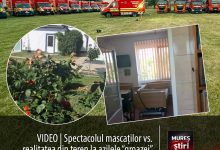 video-|-spectacolul-mascatilor-vs.-realitatea-din-teren:-cine-a-„fabricat”-azilele-“groazei”-din-bihor?