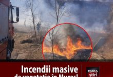 foto-|-interventie-prompta-a-pompierilor-din-rusii-munti:-trei-incendii-de-vegetatie-lichidate-astazi!