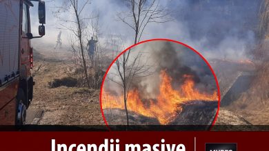foto-|-interventie-prompta-a-pompierilor-din-rusii-munti:-trei-incendii-de-vegetatie-lichidate-astazi!