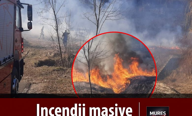 foto-|-interventie-prompta-a-pompierilor-din-rusii-munti:-trei-incendii-de-vegetatie-lichidate-astazi!