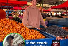 un-tanar-exemplu-pentru-targu-mures:-povestea-din-spatele-tarabei-fresh-fruit-hub-din-piata-cuza-voda!