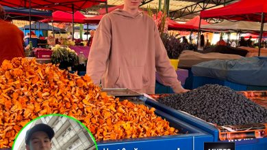un-tanar-exemplu-pentru-targu-mures:-povestea-din-spatele-tarabei-fresh-fruit-hub-din-piata-cuza-voda!