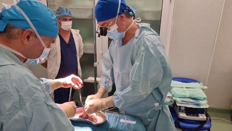 mures:-al-patrulea-transplant-de-cord-la-institut-din-acest-an,-posibil-in-urma-prelevarii-de-organe-de-la-iasi