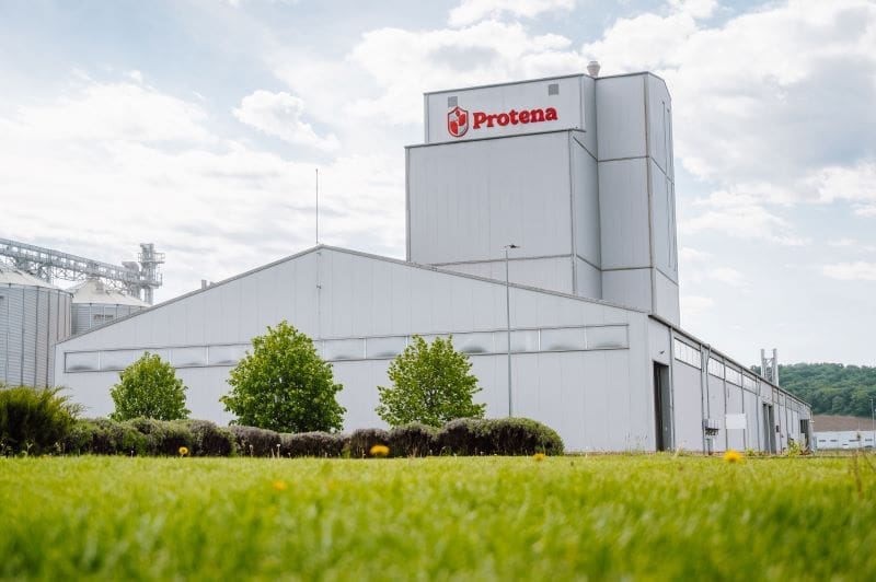 interviu.-protena-sanpaul,-produse-si-servicii-pentru-performanta-fermelor-din-romania