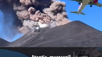 atentie,-mureseni!-alerta-de-calatorie:-restrictii-pe-aeroportul-din-catania-din-cauza-eruptiei-vulcanului-etna!