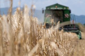 productii-mari-estimate-in-agricultura,-in-brasov