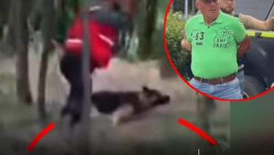video-|-cruzime-fara-margini:-un-barbat-a-ucis-un-caine-cu-bestialitate,-sub-privirile-martorilor!-individul-are-un-trecut-violent
