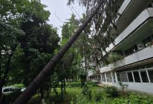 copaci-si-crengi-cazute-in-urma-unei-furtuni-in-mures