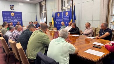 focar-de-pesta-a-micilor-rumegatoare-in-judetul-mures