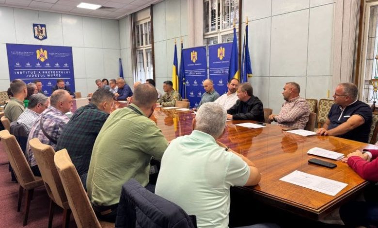 focar-de-pesta-a-micilor-rumegatoare-in-judetul-mures
