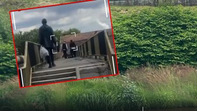 video-|-faptasii-care-au-aruncat-saci-cu-deseuri-in-raul-mures,-identificati-si-amendati-cu-20.000-de-lei,-la-reghin!
