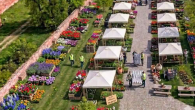 festivalul-magia-florilor-–-lanseaza-apelul-pentru-expozanti-si-comercianti