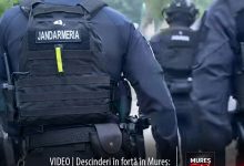 descinderi-in-forta-in-mures:-operatiune-de-amploare-a-politistilor-impotriva-contrabandei-si-a-marfurilor-contrafacute!-video