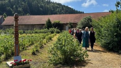 zilele-plantelor-medicinale-din-tinutul-secuiesc,-in-weekend,-la-sumuleu-ciuc