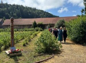 zilele-plantelor-medicinale-din-tinutul-secuiesc,-in-weekend,-la-sumuleu-ciuc