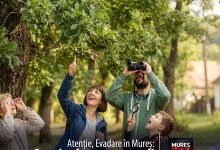 evadare-in-mures:-„marele-alexandru”-a-decis-ca-e-timpul-pentru-un-weekend-prelungit-in-libertate!