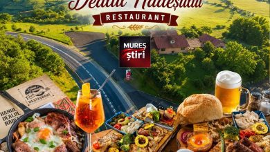 evadare-in-natura:-hanul-dealul-nadesului,-destinatia-perfecta-pentru-o-zi-de-neuitat-langa-sighisoara!