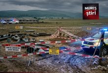 alarma-in-mures:-nou-focar-de-pesta-a-micilor-rumegatoare-la-viisoara.-peste-800-de-oi-vor-fi-sacrificate!