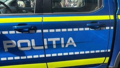 femeie-din-targu-mures-sanctionata-contraventional-pentru-abandonul-unor-pui-de-pisica