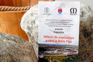 situl-baile-figa-scoate-la-iveala-povesti-ale-europei-preistorice