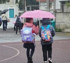 judetele-covasna-si-mures-au-pierdut-cei-mai-multi-elevi-pana-la-evaluarea-nationala