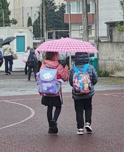 judetele-covasna-si-mures-au-pierdut-cei-mai-multi-elevi-pana-la-evaluarea-nationala