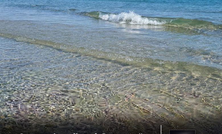 soc-termic-pe-litoral:-de-ce-a-scazut-temperatura-apei-marii-negre-de-la-26°c-la-17°c?