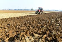 se-infiinteaza-programul-national-„viata-la-tara”-pentru-promovarea-patrimoniului-rural-prin-gospodarii-taranesti