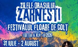 ”festivalul-floare-de-colt”,-la-zarnesti