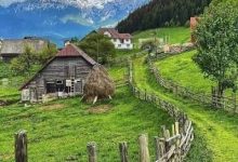 programul-national-„viata-la-tara”-intra-in-vigoare-pe-16-iulie:-gospodariile-de-la-sate-vor-putea-primi-turisti-contra-cost