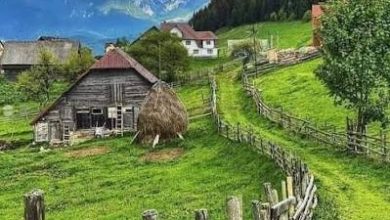 programul-national-„viata-la-tara”-intra-in-vigoare-pe-16-iulie:-gospodariile-de-la-sate-vor-putea-primi-turisti-contra-cost