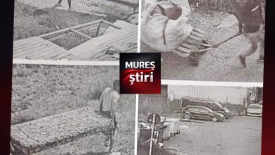 amenzi-de-4.000-de-lei-aplicate-de-politia-locala-targu-mures-pentru-depozitarea-ilegala-a-deseurilor!
