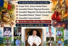 targul-de-sfantul-ilie,-sarbatorit-la-raciu-cu-muzica-populara,-gala-de-box-si-focuri-de-artificii