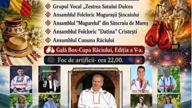 targul-de-sfantul-ilie,-sarbatorit-la-raciu-cu-muzica-populara,-gala-de-box-si-focuri-de-artificii