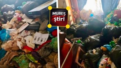 dezastru!-focar-de-mizerie-din-targu-mures,-curatat-cu-forta.-proprietarul,-amendat-de-politia-locala