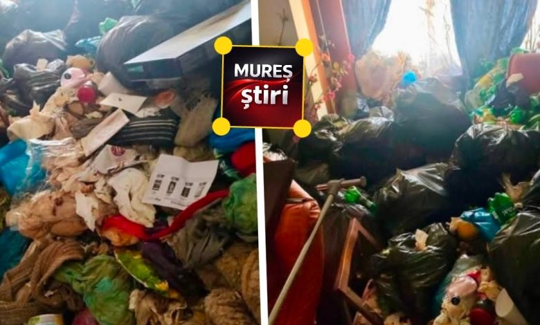 dezastru!-focar-de-mizerie-din-targu-mures,-curatat-cu-forta.-proprietarul,-amendat-de-politia-locala