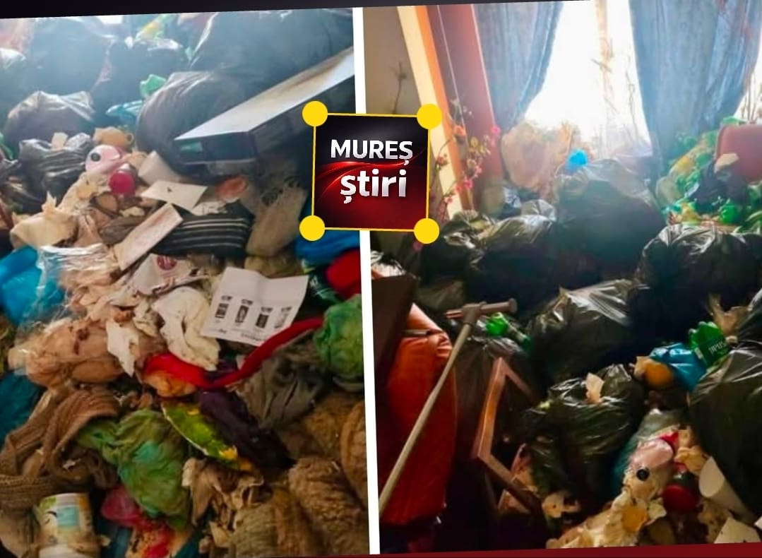 dezastru!-focar-de-mizerie-din-targu-mures,-curatat-cu-forta.-proprietarul,-amendat-de-politia-locala