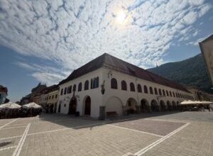 cerbul-carpatin,-aproape-recuperat-de-municipalitatea-brasoveana