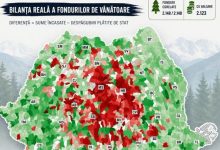 statul-a-platit-cu-20,46-milioane-de-lei-mai-mult-decat-a-incasat-din-gestionarea-fondurilor-cinegetice