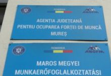 rata-somajului-din-judetul-mures-ramane-sub-3%