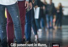crestere-usoara-a-ratei-somajului-in-judetul-mures,-la-sfarsitul-lunii-iunie!
