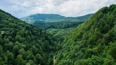 judetul-covasna-isi-promoveaza-peisajele-montane-si-traseele-prin-natura