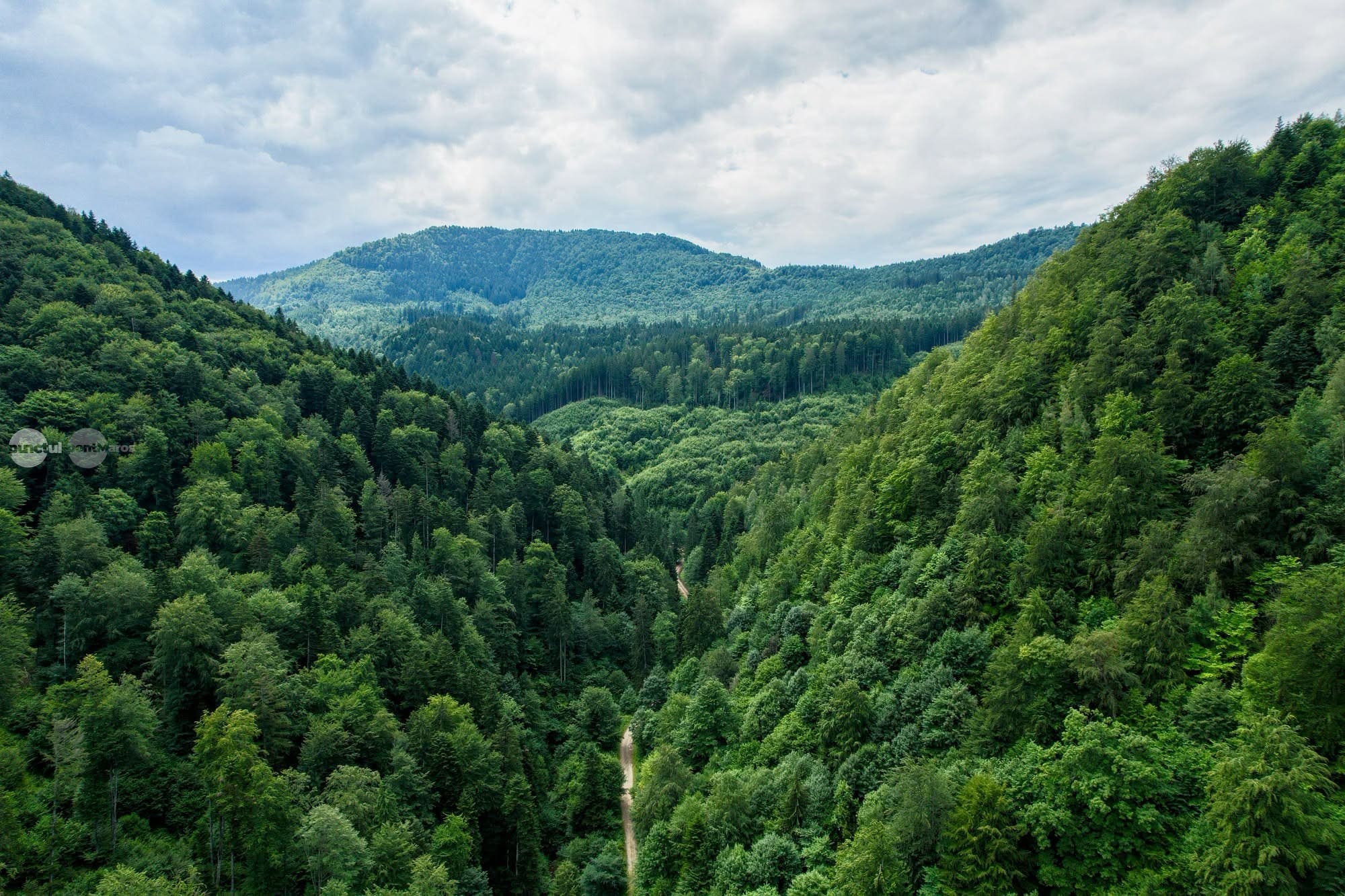 judetul-covasna-isi-promoveaza-peisajele-montane-si-traseele-prin-natura